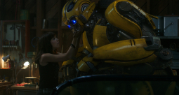 Bumblebee - zdjęcie 30