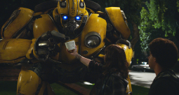 Bumblebee - zdjęcie 38